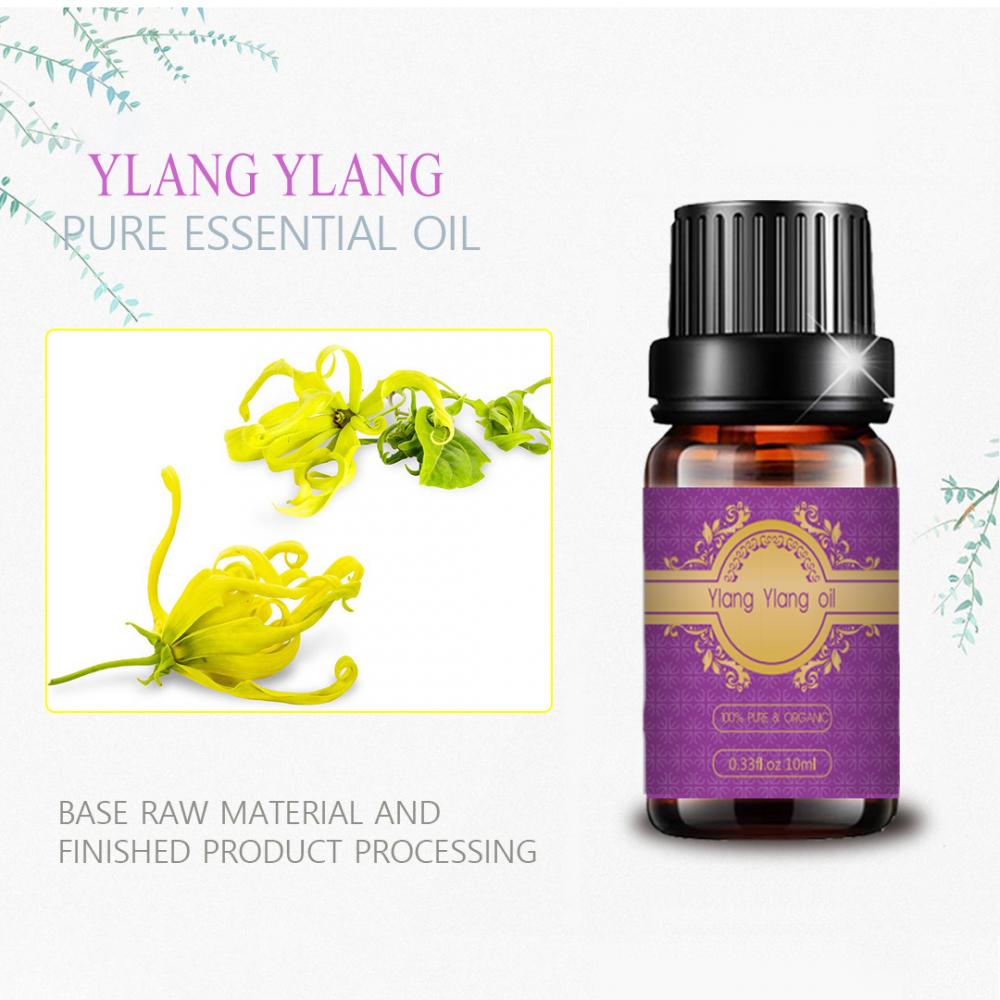 Best Quality Organic 100%Pure Ylang Ylang Essential Oil