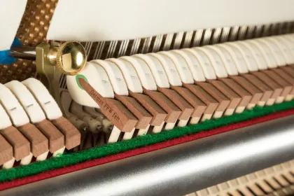 PETROF·SCHOLZE NS-8P Upright Piano Walnut Matte Professional Performance 128cm European PETROF Craft Professional Acoustic Piano