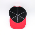 6 paneles Snapback Hat and Cap