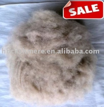 dehaired washed pure 100% cashmere fibres