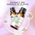 Aceite de zantoxylum puro de alta calidad a buen precio al aceite de zanthoxylum