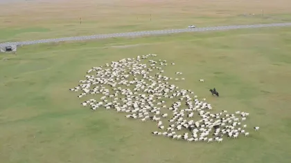 Winter Warm Green Plaid Scarf Cashmere Woven Life Wild Scarf