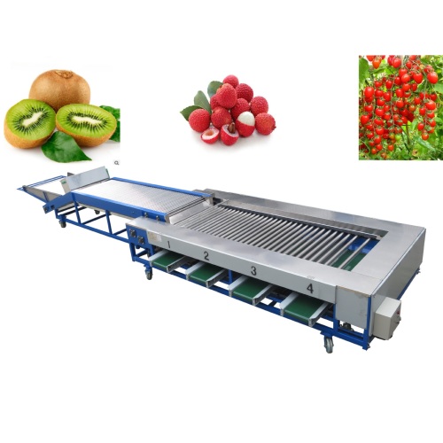 Máquina de classificação de frutas Máquina de classificação de tomate cereja