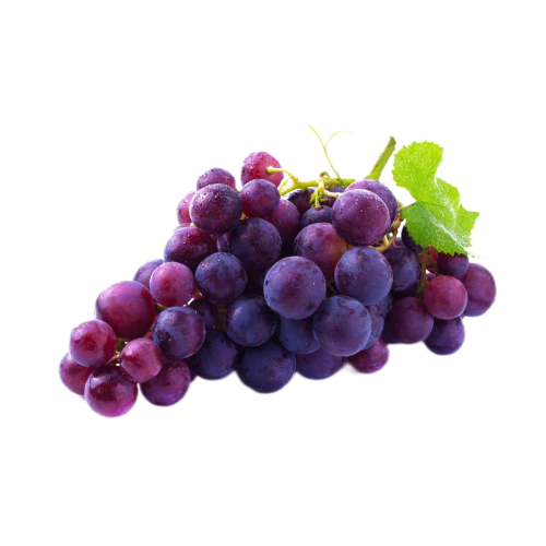 Grape Seed Extract Proanthocyanidins