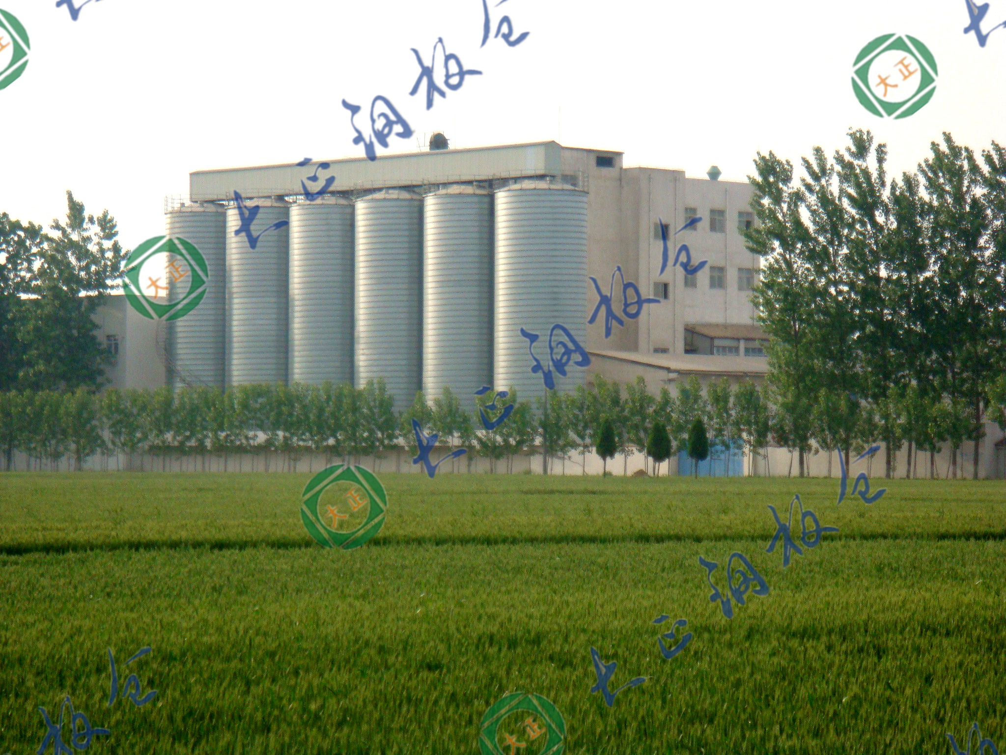 Kaifeng Tianyuan Flour Industry01