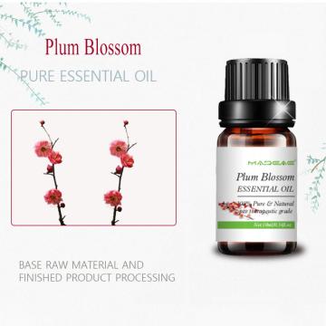 Water-Soluble Plum Blossoms Essential oil For Body Skincare