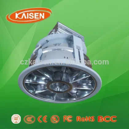 80W price induction lamp energy saving induction down light