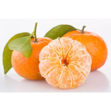 Mandarin Fruit Products - Manufacturer and Supplier