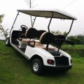 Wholesale 250CC gas powered popular golf cart