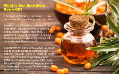 100% pure sea buckthorn fruit oil