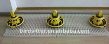 Chicken farm use automated feeding systems for sale