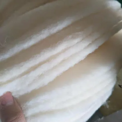 DuPont Sorona Foam For Cotton Quilt