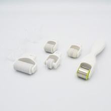 MNS 1,0 mm 5 in 1 Mikro -Roller -Kit