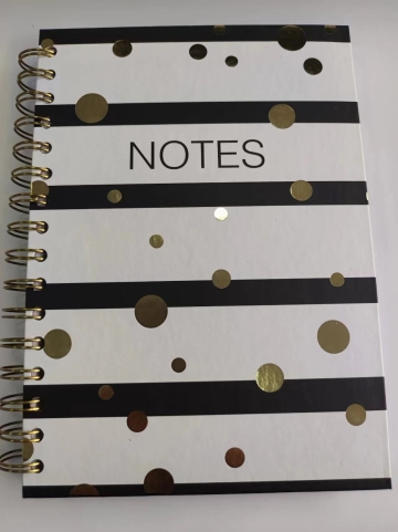notes polka dot spiral notebook