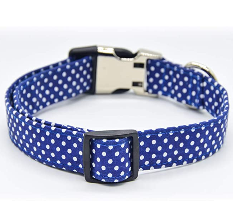 Blue Dog Collar