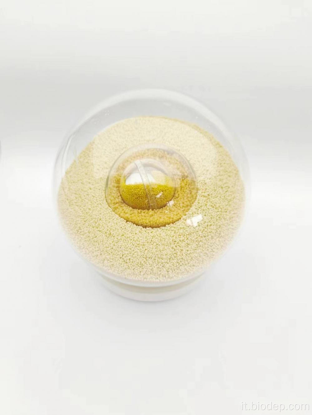 Alta qualità 200 miliardi di probiotici Lactobacillus Helveticus