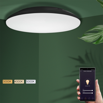 CE Approved Slim Sensor Dimmable Oyster Ceiling Light for Bathroom