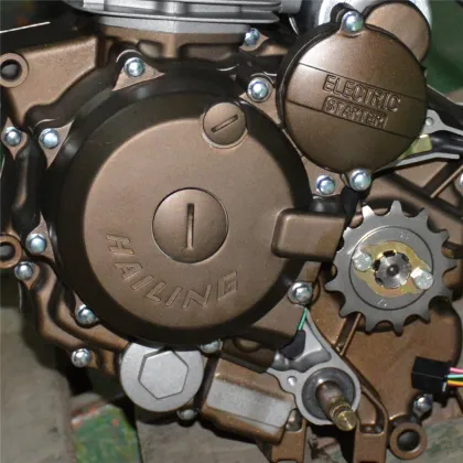 250cc Air-cooled Motorcycle Gas Engine Assembly for Sale
