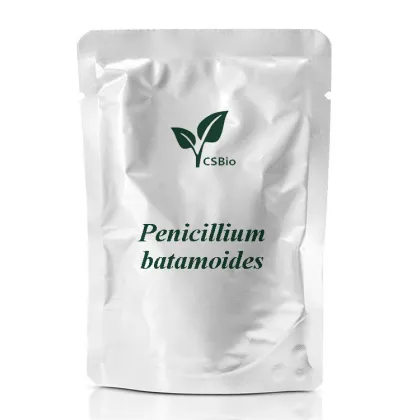 Bulk cordyceps militaris extract powder​