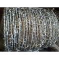 Cheap Concertina Inox Barbed Wire