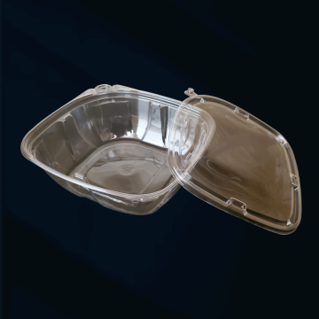 Disposable Clear Plastic Pet Fruit Vegetable Salad Bowls with Lid, 55oz