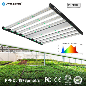 가장 저렴한 800W LED는 가벼운 수경법을 재배합니다