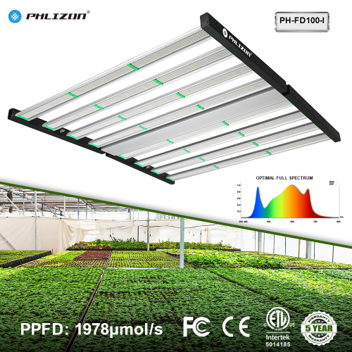 Hidroponics LED a LED più economico da 800 W.