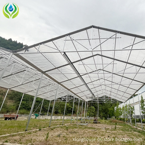 Custom Retractable Metal Frame Greenhouse for Planting from China