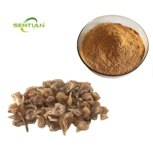bulbus allii macrostemi extract