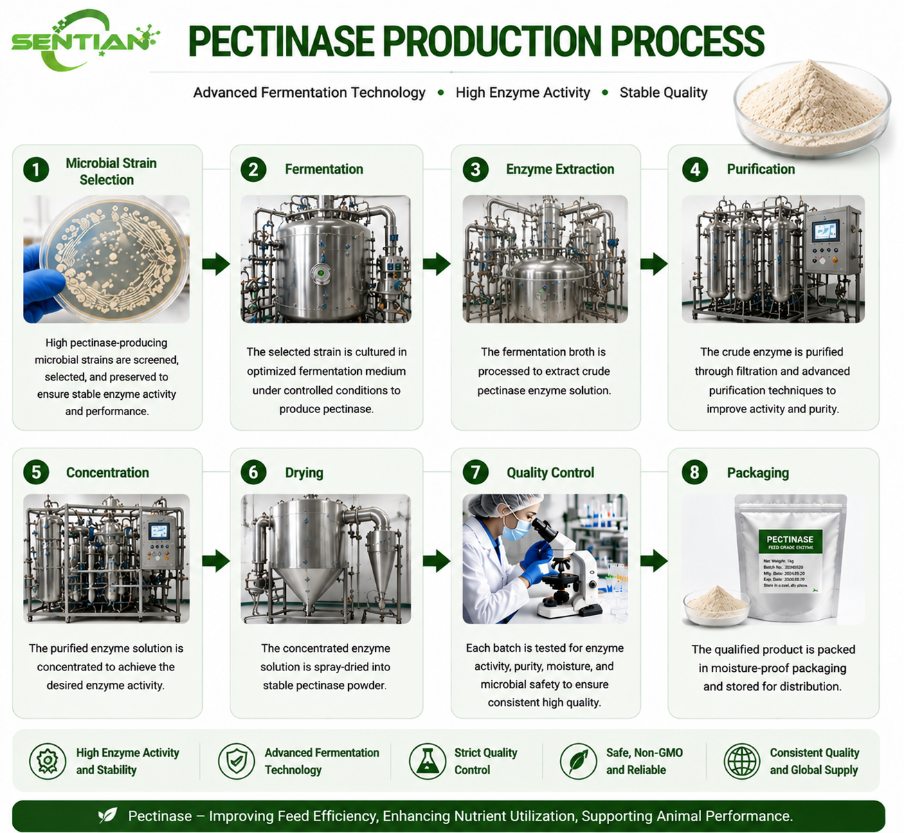 Pectinase（1）