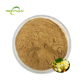 Water Soluble Dodder Seed Extract