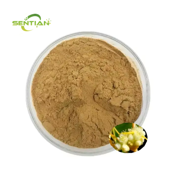 Water Soluble Dodder Seed Extract