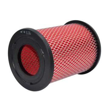 Air Filter for 165462S610