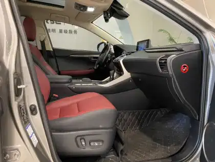 Lexus NX 2020 200 AWD Fengshang