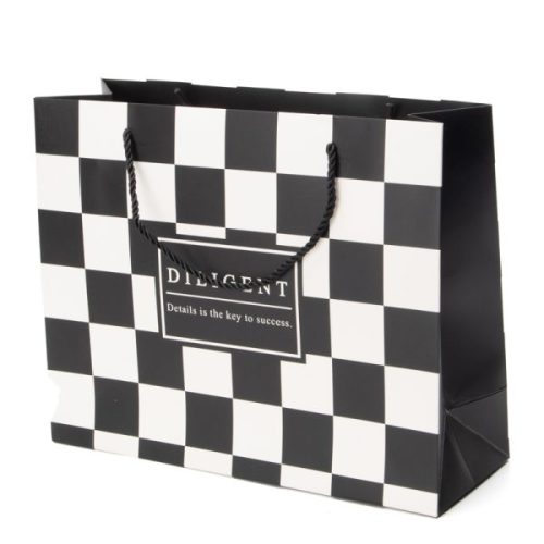 Fancy Gift Promotional Shopping Paper Bags