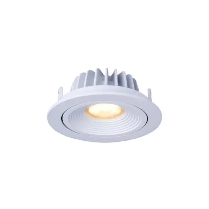 IP44 Dim to Warm 83mm LED Downlight for European Market