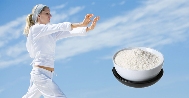 Chondroitin Sulfate Powder CHS 