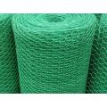 Mesh hexagonal enduit de PVC vert