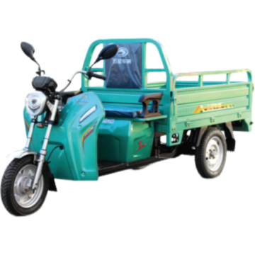Veicolo elettrico a tre ruote leggero EH15