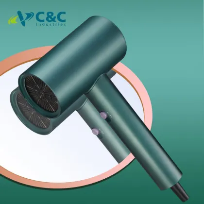 Fast Drying Low Noise Thermo Control Hair Dryer