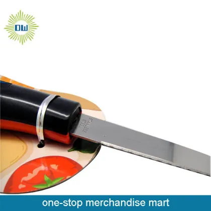 Fruit and Salad Cheese Knife