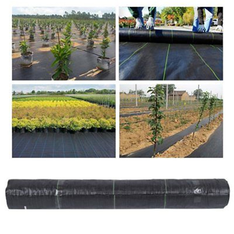 Ground Cover Fabric