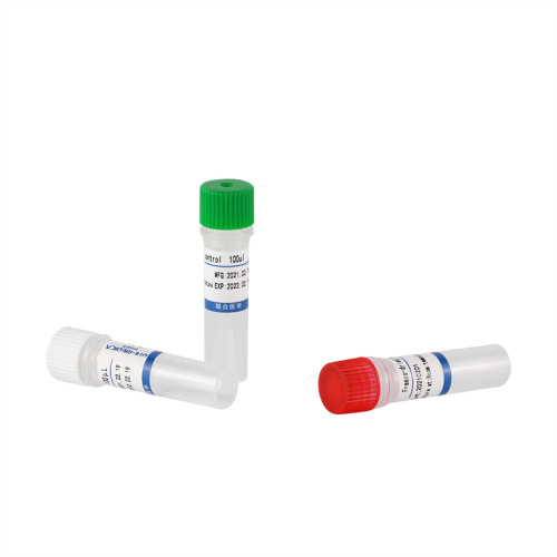 Kit de PCR de tiempo de liofilización congelada para novela Coronavirus 2019-NCOV (ORF1AB, N, E)