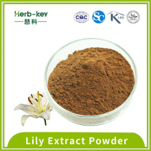 Beauty and Beauty care Powder Lily extract