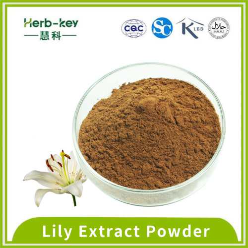 Löschen Wärme 4: 1 Lily Extract