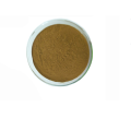 supply Freeze dried Aloe vera extract powder