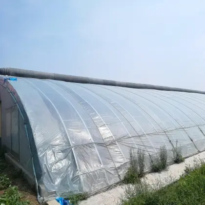 Passive Solar Greenhouse with Soil/Earth/Brick Walls for Cold Winter Agriculture in Canada