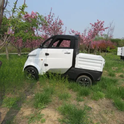 Battery Power Special New Energy Van Truck
