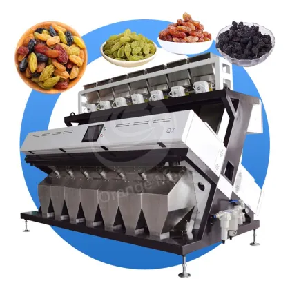 ORME Intelligent Cereal Raisin Color Sorter Separator Machine