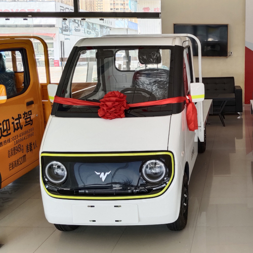 D02 flatbed electric transport vehicle